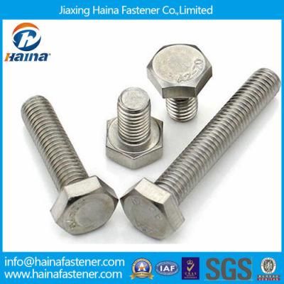 Jiaxing Haina Made in China Stainless Steel A2-70 Machine Bolt