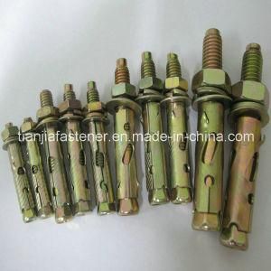 High Quality Torque Controlled Expansion Anchor Bolts/ Wedge Anchor/Lift Bolt/Elevator Bolt