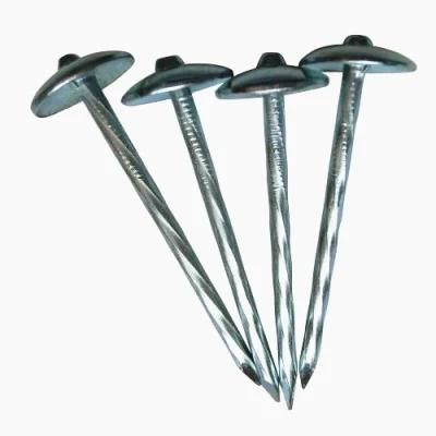 Gi Twisted Shank Roofing Nail Umbrella Head Nail in Guangzhou