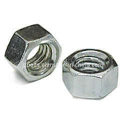 Hex Nut