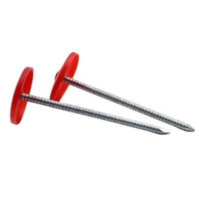 USA Canada for Ceiling 1 Inch Ring Shank Plastic Cap Roofing Nails