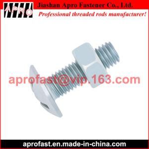 Double Slot Round Head Roofing Bolt with Nut