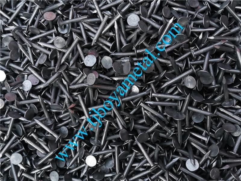 Zinc Plated Clout Nail Cupper Nail with High Quality Nails Construction