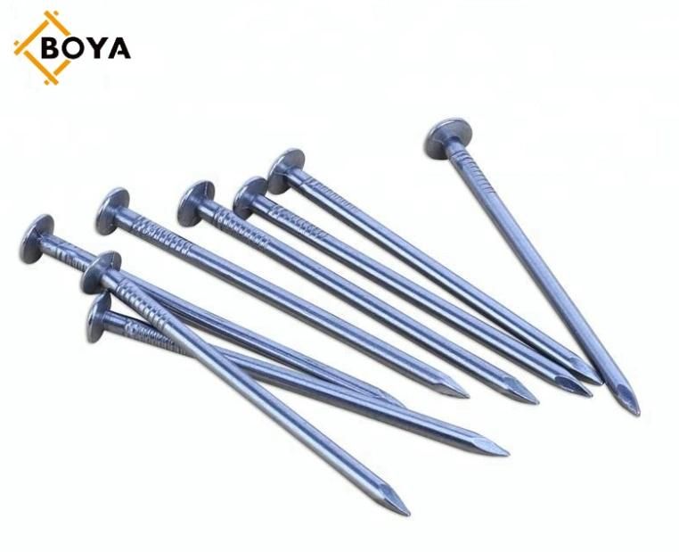 1"-6" Iron Material Common Iron Nails From Tianjin Factory