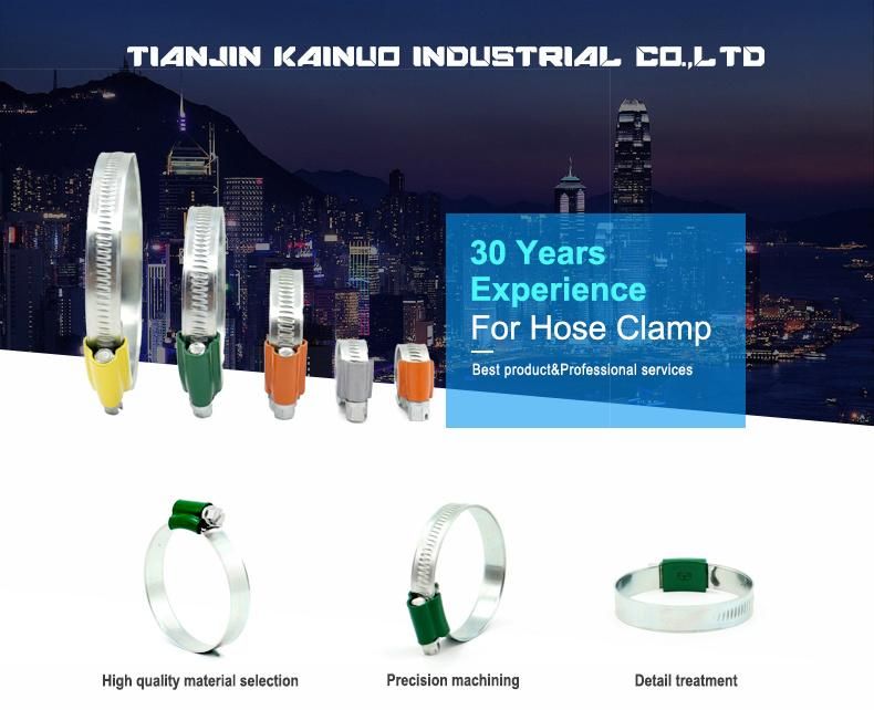 Non-Perforated Adjustable Worm Drive British Type Stainless Steel Hose Clamp with Color Head Tube Housing, Range 104-138mm