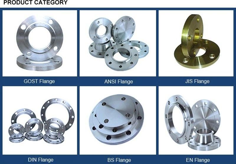 Chinese Factory ANSI/DIN Forged Carbon/Stainless Steel Flange/Flat Flanges