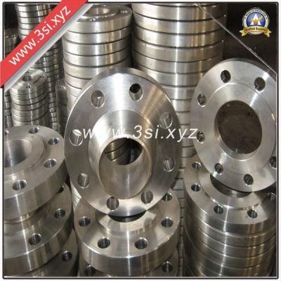Hot Sale Quality Stainless Steel Forged Weld Neck Flanges (YZF-E300)