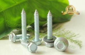 Hex Head Machine Thread Galvanized Self Tapping Steel Screw