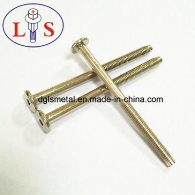 Flat Head with Hexagonal Bolt