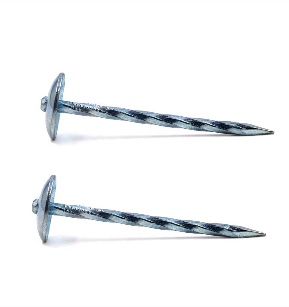 Mushroom Head Roofing Nail From Guangzhou Supplier