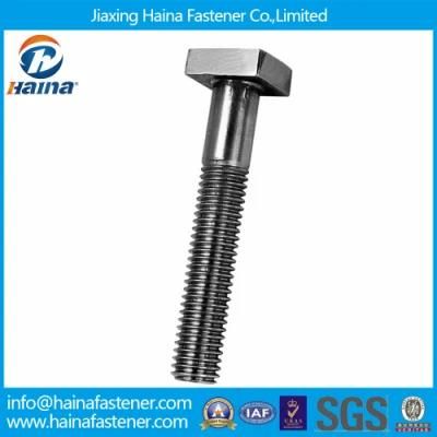 Stainless Steel A2 A4 OEM T Bolt with ISO Certificate