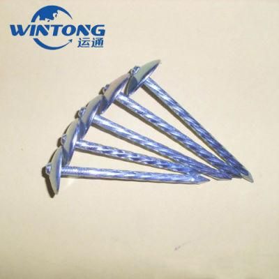 Roofing Nail / Hardware Accessories / Roofing Nail Manufacturer