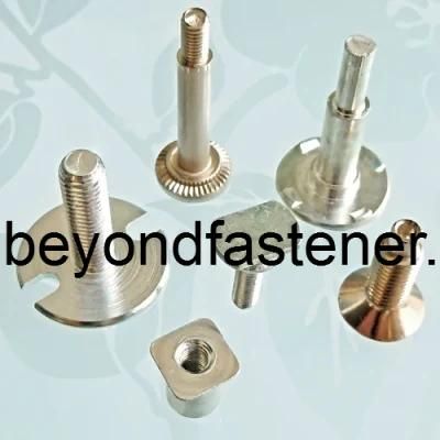 Special Bolts Special Screw/ Stud Bolts T Bolts Terminal Cover Screw