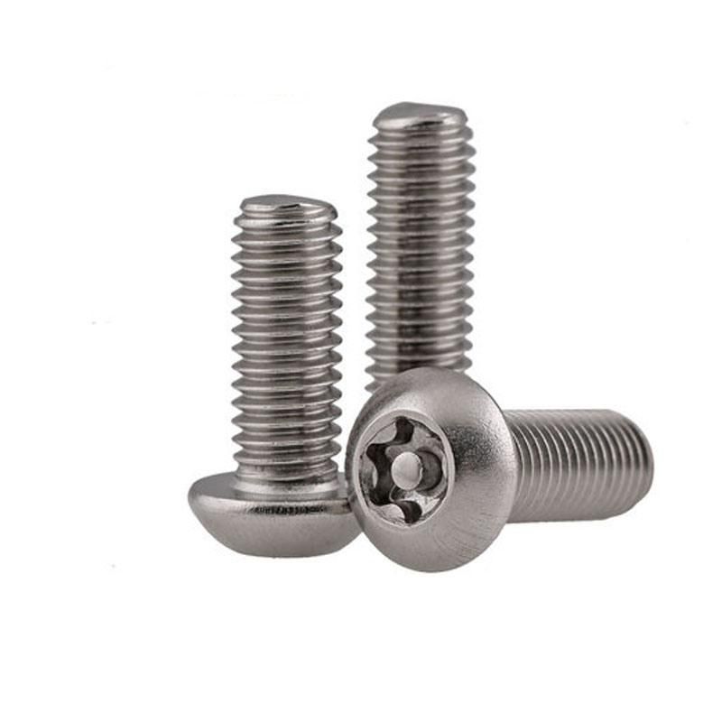 Stainless Steel 304/316 Torx Pan Head Security Screw with Pin