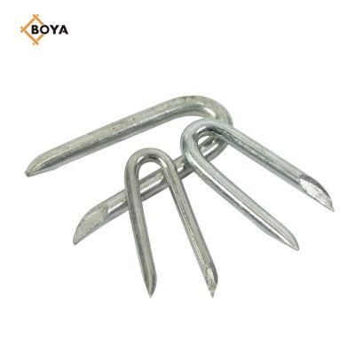 Garden Use Barbed U Shape Iron Wire Nail Common Diamond Sharp U Type Nail