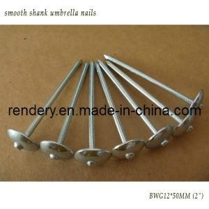 Screw/Smooth Shank Umbrella Roofing Screw
