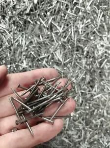 Common Wire Nail with Good Quality and Best Price