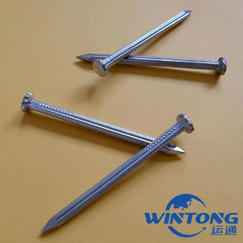 Straight Grain Cement Nail, Galvanized Cement Nail, Cement Nail Factory Price
