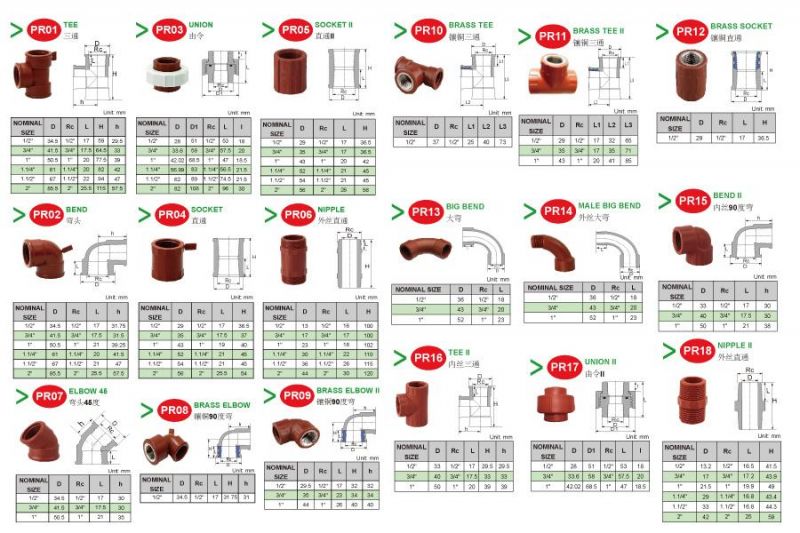 Tank Nut High Quality PP Compression Pipe Fitting Plastic for Water Plumbing