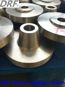 Welding Neck Flange (factory)