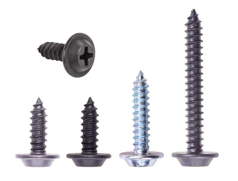 Phillips Flanged Extra-Wide Rounded Head Sheet Metal Screws