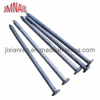 Q195/Q235 Hot Selling Top Quality Hot Dipped Galvanized Building Nail