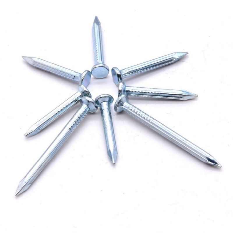 Manufacturer Stainless Steel Galvanized Concrete Carbon Steel Nail Concrete