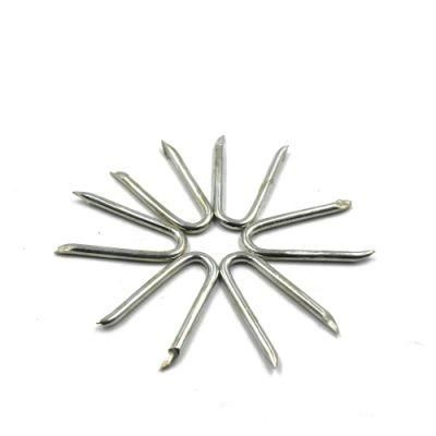 Fence Staple Nail/U Shape Nail/U Nail/SOD Staple/Poultry Staple/Nail/U Type Nail