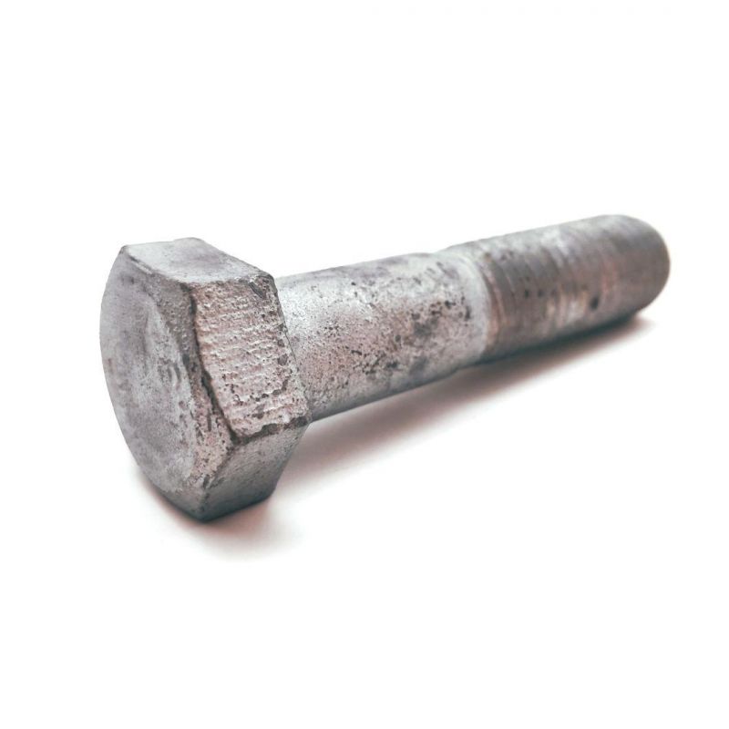 Alloy Steel HDG Black Oxide Carriage Bolt DIN 603 Mushroom Round Square Neck Head Bolt Coach Bolt Hex Head Bolt T Bolt U Bolt Toggle Bolt Anchor Bolt Screw Bolt