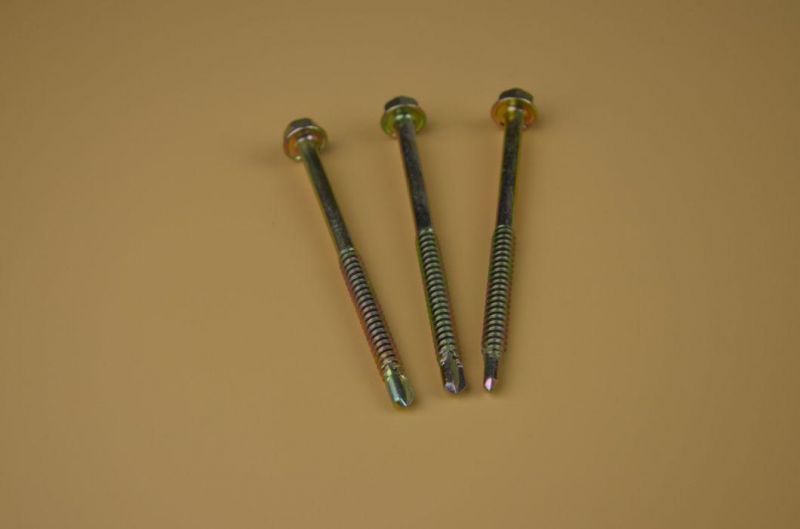 Long Roofing Screw /Self Drilling Screw SS304 Screw/Bi-Metal Screw