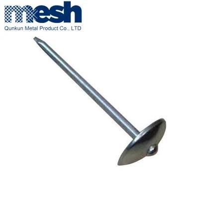 Hot Sale Galvanized Umbrella Head Roofing Nails (Factory)