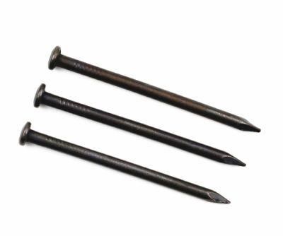 Zinc Plated Common Wire Nail Steel Concrete Black Iron Nails
