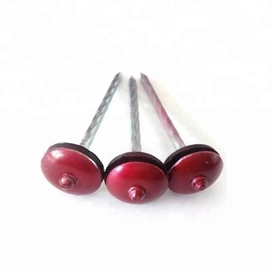 2.5 Inch Galvanized Umbrella Head Colored Roofing Nails with Washer