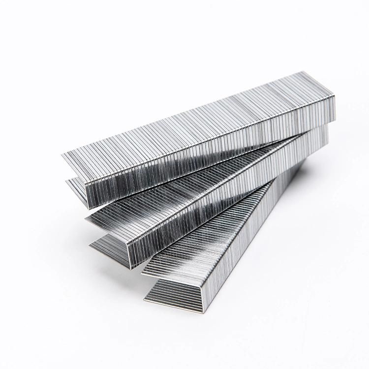 Galvanized Wire Material 10j Series Staples From China Used for Sofa Frames and Wooden Board