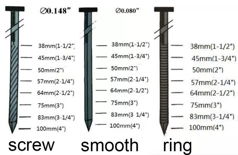 Factory Direct Sale Ring Shank Coil Nail Mainly Used for Furniture Industry