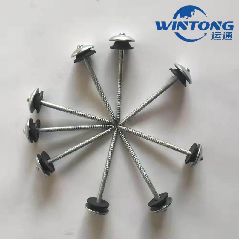 Roofing Nail, Galvanized Umbrella Roofing Nails, Polished Corrugated Nails
