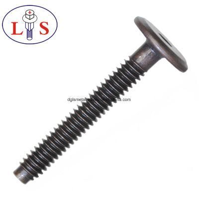 Flat Head Hexagonal Socket Tip Pointed Machine Bolts
