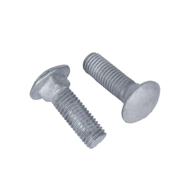 Galvanized Zinc Plated Steel DIN603 Cup Mushroom Head Square Neck Carriage Bolts M5 M6 M8 M10 M12 M14 M16 M20