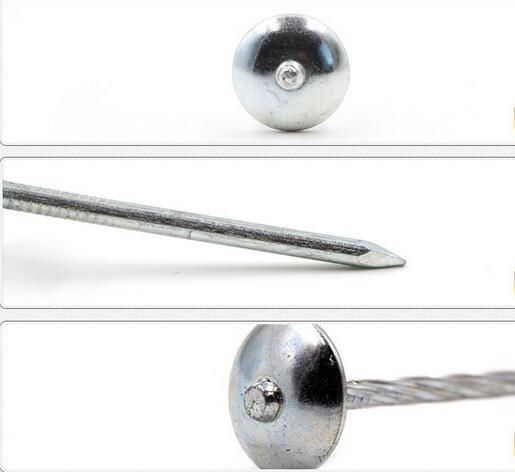 Screw Shank Roofing Nail with Umbrella Head in Material Q195