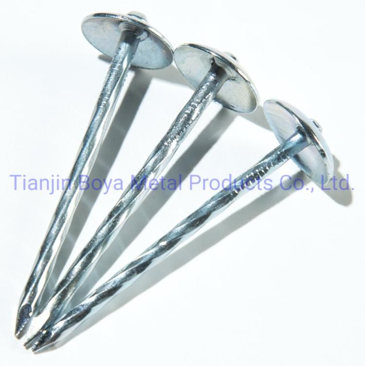 Popular Bwg9*2.5" Smooth Shank Umbrella Head Twist Roofing Iron Nail