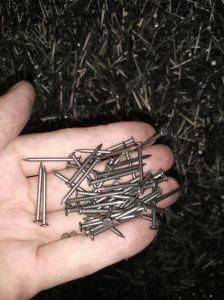 1inch-6inch Common Iron Wire Nails with Competitive Price
