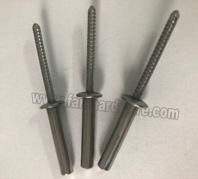 High Quality Stainless Steel Closed End Type Pop Rivets