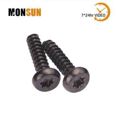 Pan Head Star Drive Type B Point Self Tapping Plastic Screw