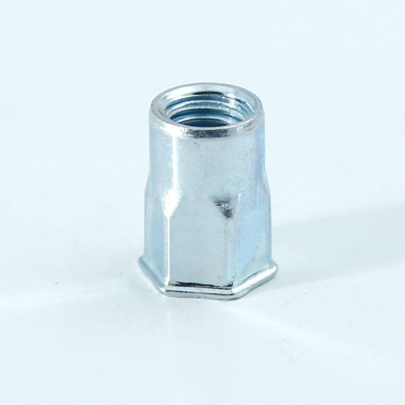China Factory OEM ODM Fastener Customized Flat Head Hexagon Round Hex Through Hole Brass Stainless Steel Blind Rivet Nut