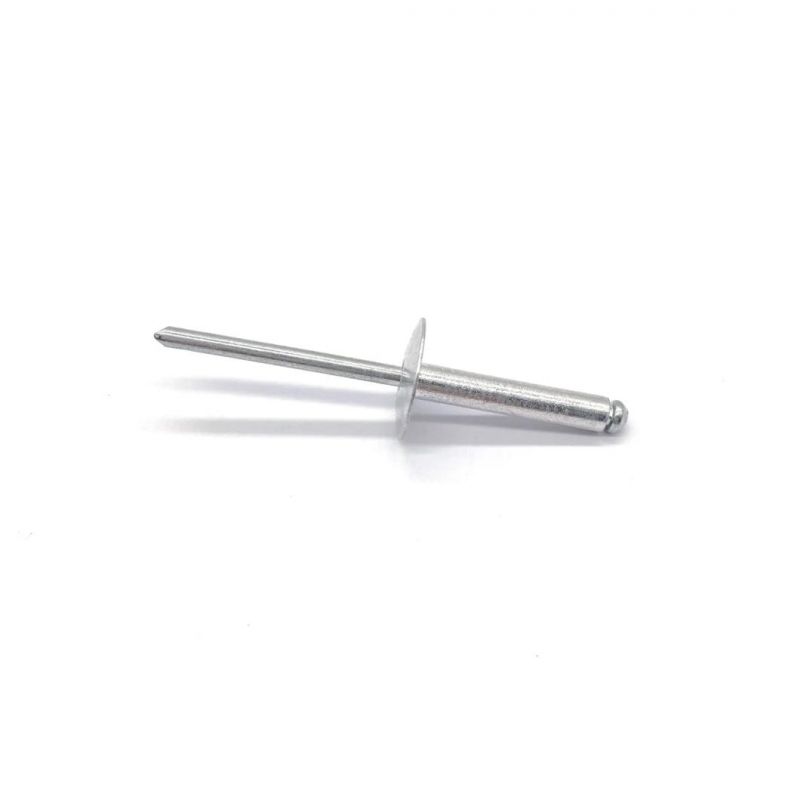 Stainless Steel 304 316 Rivet SS316 SS304 Flat Head Blind Rivet
