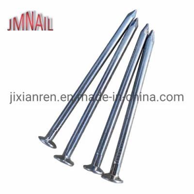 Eg Common Nail with Low Price and High Quality