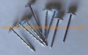 Popular Size Bwg9*2.5&quot; Galvanized Umbrella Twist Smooth Shank Roofing Nail