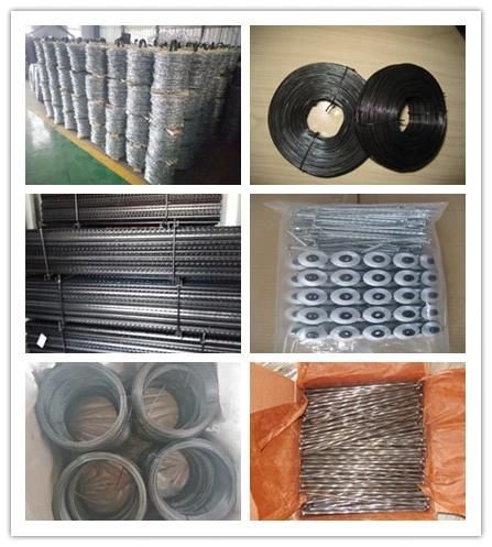 Hot Sale Polished Common Nail with Different Size