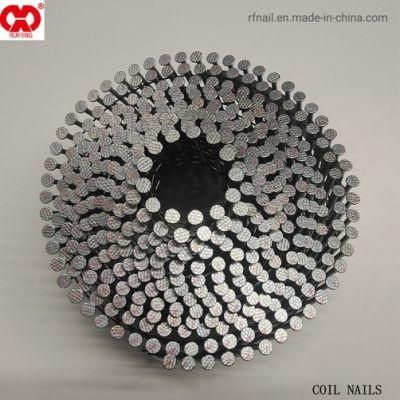 Pneumatic Gun Nails Direct Manufacturer in Anhui Galvanized 16D Whiteness Wire Coil Nail Collated Nails.
