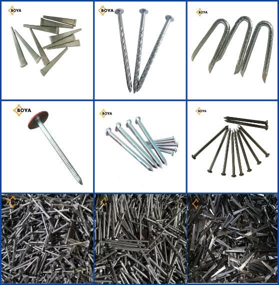 Electro Galvanized Assemble Roofing Nail with Washer